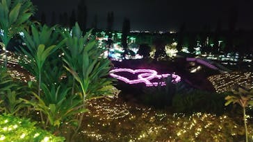 美らヤシパークオキナワ・東南植物楽園に投稿された画像（2022/11/24）