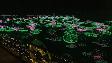 美らヤシパークオキナワ・東南植物楽園に投稿された画像（2022/11/24）
