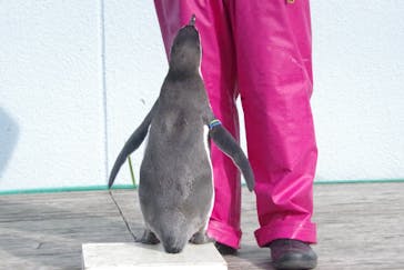 南知多ビーチランド＆南知多おもちゃ王国に投稿された画像（2022/11/24）