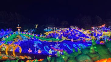 伊豆ぐらんぱる公園に投稿された画像（2022/11/24）