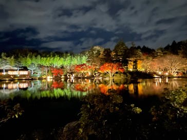 国営昭和記念公園 秋の夜散歩に投稿された画像（2022/11/24）