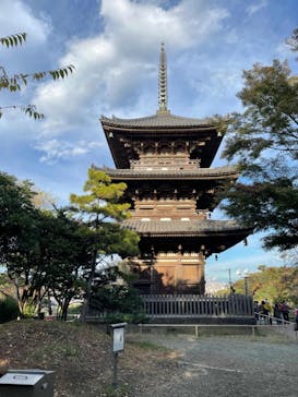 三溪園に投稿された画像（2022/11/24）