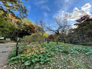 三溪園に投稿された画像（2022/11/24）