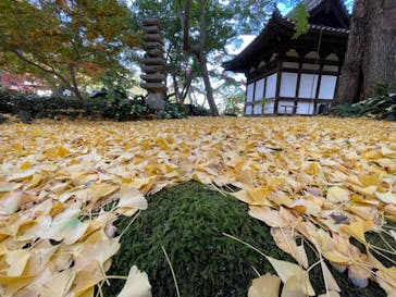 三溪園に投稿された画像（2022/11/24）