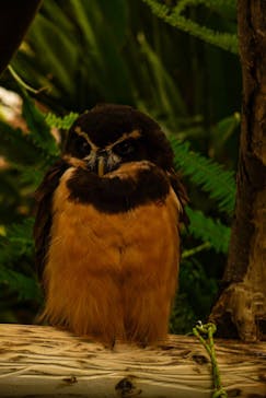 伊豆シャボテン動物公園に投稿された画像（2022/11/24）