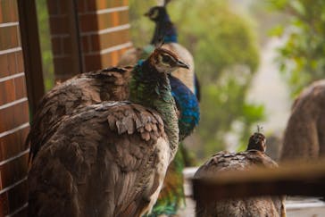 伊豆シャボテン動物公園に投稿された画像（2022/11/24）