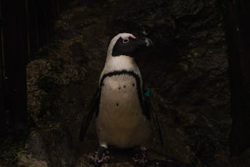 伊豆シャボテン動物公園に投稿された画像（2022/11/24）