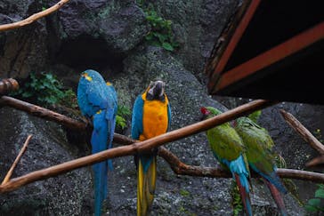 伊豆シャボテン動物公園に投稿された画像（2022/11/24）