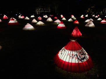 国営昭和記念公園 秋の夜散歩に投稿された画像（2022/11/25）