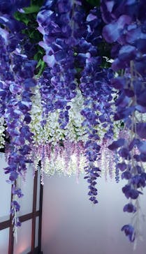 東京メガイルミに投稿された画像（2022/11/25）