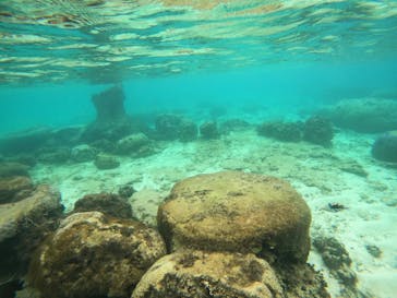 沖縄マリンサービス碧に投稿された画像（2022/11/25）