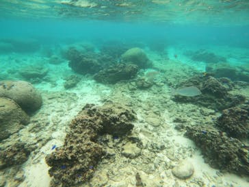 沖縄マリンサービス碧に投稿された画像（2022/11/25）