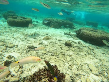 沖縄マリンサービス碧に投稿された画像（2022/11/25）