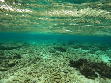 沖縄マリンサービス碧に投稿された画像（2022/11/25）