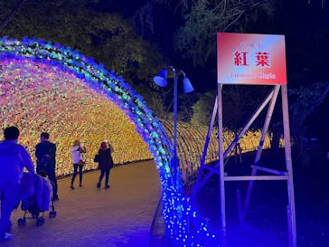 なばなの里に投稿された画像（2022/11/25）