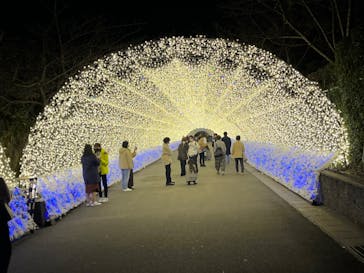 なばなの里に投稿された画像（2022/11/25）