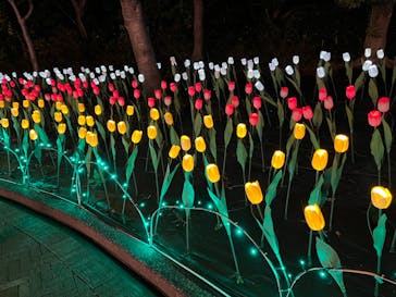 なばなの里に投稿された画像（2022/11/25）