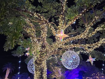 江の島シーキャンドルに投稿された画像（2022/11/25）