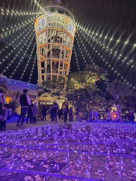 江の島シーキャンドルに投稿された画像（2022/11/25）