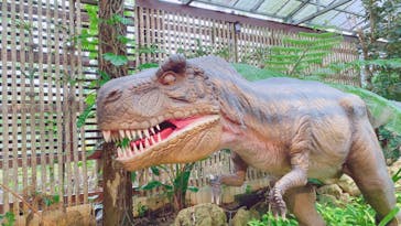 ナゴパイナップルパークに投稿された画像（2022/11/25）