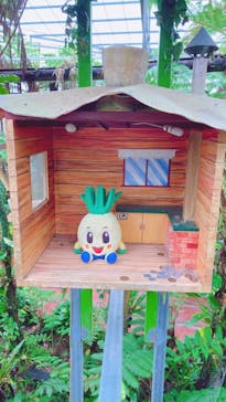 ナゴパイナップルパークに投稿された画像（2022/11/25）