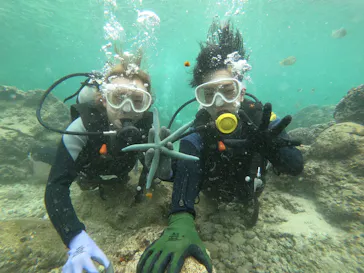 武藤潜水に投稿された画像（2022/11/25）