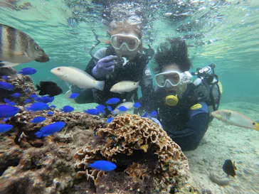 武藤潜水に投稿された画像（2022/11/25）