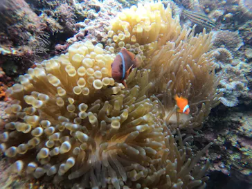 武藤潜水に投稿された画像（2022/11/25）