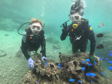 武藤潜水に投稿された画像（2022/11/25）