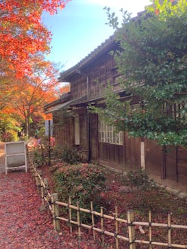 博物館 明治村に投稿された画像（2022/11/25）