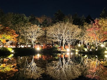 国営昭和記念公園 秋の夜散歩に投稿された画像（2022/11/25）