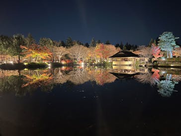 国営昭和記念公園 秋の夜散歩に投稿された画像（2022/11/25）