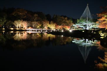 国営昭和記念公園 秋の夜散歩に投稿された画像（2022/11/25）