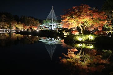 国営昭和記念公園 秋の夜散歩に投稿された画像（2022/11/25）