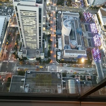 横浜ランドマークタワー 69階展望フロア スカイガーデンに投稿された画像（2022/11/25）