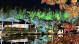 国営昭和記念公園 秋の夜散歩に投稿された画像（2022/11/25）