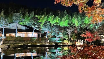 国営昭和記念公園 秋の夜散歩に投稿された画像（2022/11/25）