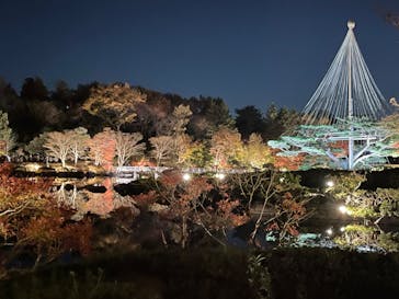 国営昭和記念公園 秋の夜散歩に投稿された画像（2022/11/25）