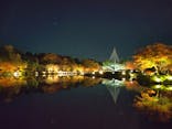国営昭和記念公園 秋の夜散歩に投稿された画像（2022/11/25）