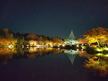 国営昭和記念公園 秋の夜散歩に投稿された画像（2022/11/25）