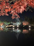 国営昭和記念公園 秋の夜散歩に投稿された画像（2022/11/25）