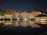 国営昭和記念公園 秋の夜散歩に投稿された画像（2022/11/25）