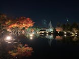 国営昭和記念公園 秋の夜散歩に投稿された画像（2022/11/25）