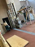天王寺動物園に投稿された画像（2022/11/25）