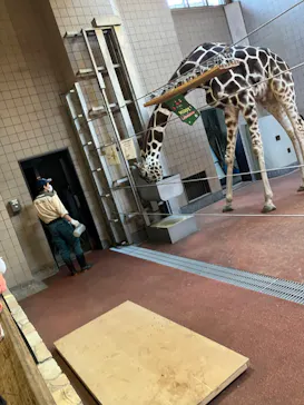 天王寺動物園に投稿された画像（2022/11/25）