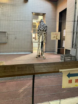 天王寺動物園に投稿された画像（2022/11/25）