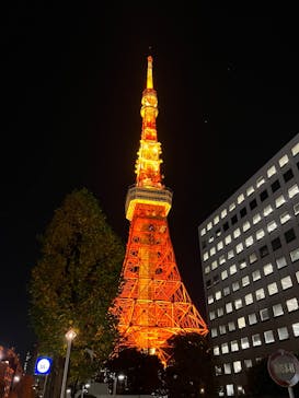 東京タワーに投稿された画像（2022/11/25）