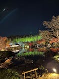 国営昭和記念公園 秋の夜散歩に投稿された画像（2022/11/25）