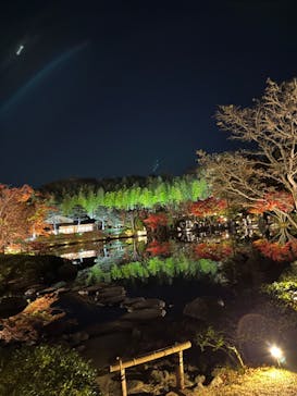 国営昭和記念公園 秋の夜散歩に投稿された画像（2022/11/25）