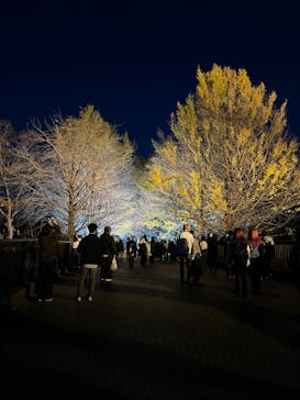 国営昭和記念公園 秋の夜散歩に投稿された画像（2022/11/25）